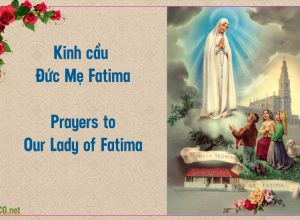 Kinh cầu Đức Mẹ Fatima. Prayers to Our Lady of Fatima.