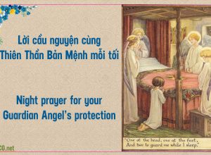 Lời cầu nguyện cùng Thiên Thần bản mệnh mỗi tối. Good Night prayer for your Guardian Angel’s protection.
