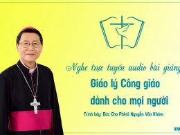 Giáo lý hội thánh Công giáo, giáo lý dự tòng, hôn nhân cho mọi người, trình bày cha Phêrô Nguyễn Văn Khảm.