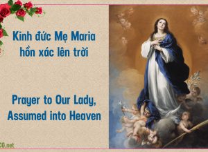 Kinh Đức Mẹ Maria đồng trinh hồn xác lên trời. Kinh Đức Bà Maria hồn xác lên trời. Prayer to Our Lady, Assumed into Heaven.