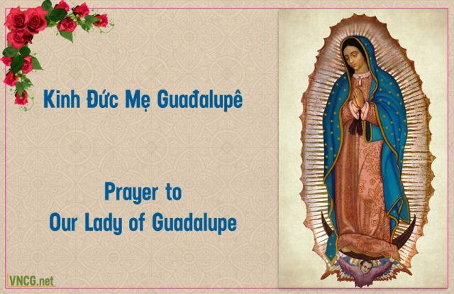 Kinh Đức Mẹ Maria Guađalupê. Prayer to Our Lady of Guadalupe.