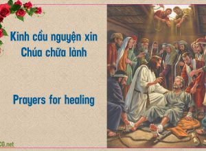 Lời kinh cầu nguyện xin Chúa chữa lành. Prayers for healing.